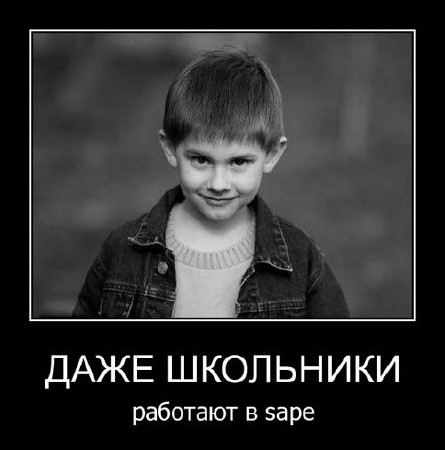 О данной бирже покупки-продажи ссылок написано уже немало, но я все же хотел бы заострить внимание вебмастеров и оптимизаторов на нескольких очень важных моментах. Биржа Sape.ru включает в себя несколько совершенно уникальных решений, и именно поэтому, хотелось бы поговорить об этой бирже более подробно.